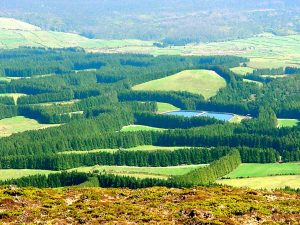 Portugal, Terceira