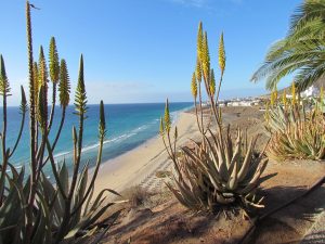 Spanien, Fuerteventura