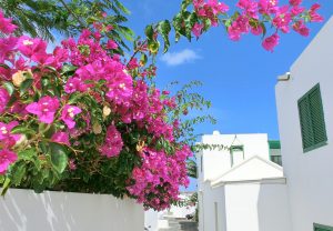 Spanien, Lanzarote