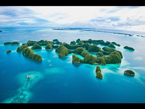 Dive Palau, This is How You Should Do It!