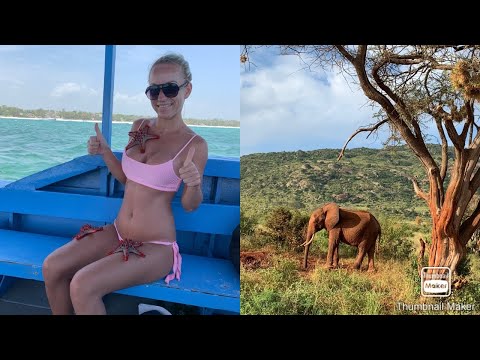 KENYA , SAFARI Tsavo East , Diani beach, Mombasa, Africa 4K Travel cinematic video