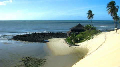 Flüge nach Brasilien