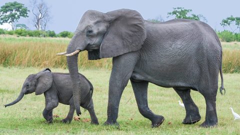 Flüge nach Südafrika