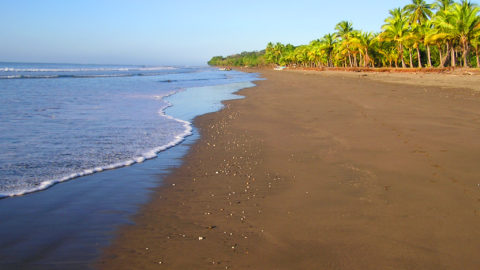 Flüge nach Costa Rica