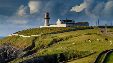 Flüge nach Irland