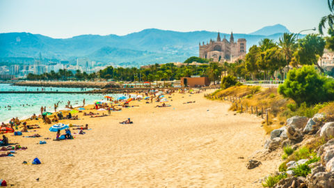 Flüge nach Palma de Mallorca