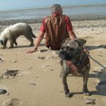 Flug mit Hund