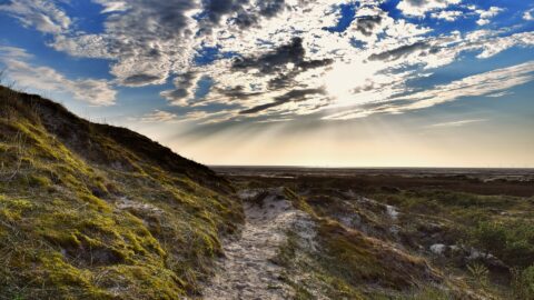 Borkum Dünen