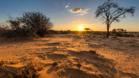 Flüge nach Botswana