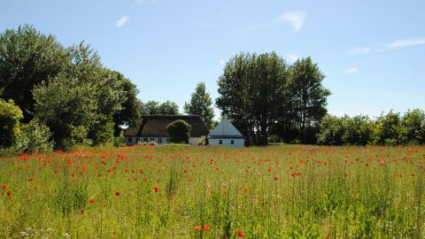 Flüge nach Dänemark