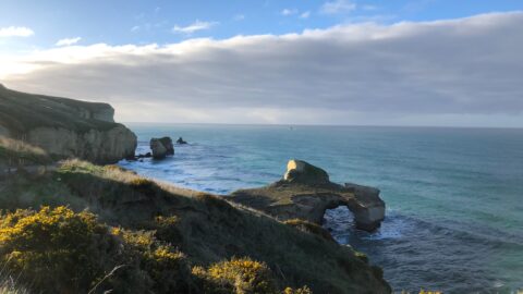 Flüge nach Dunedin