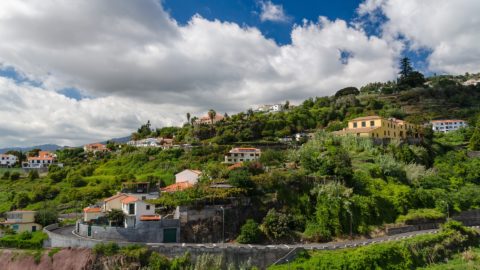 Flüge nach Funchal