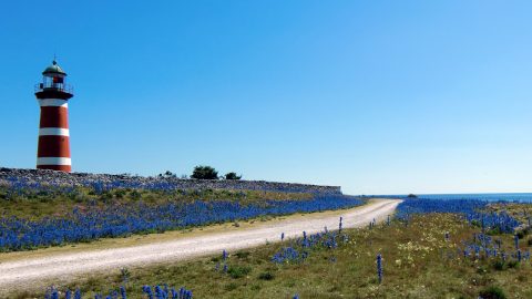 Flüge nach Schweden