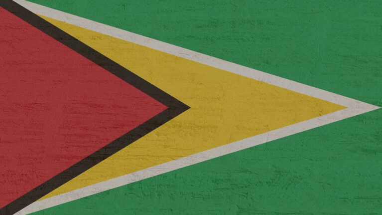 Flüge nach Guyana