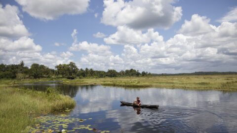 Flüge nach Guyana