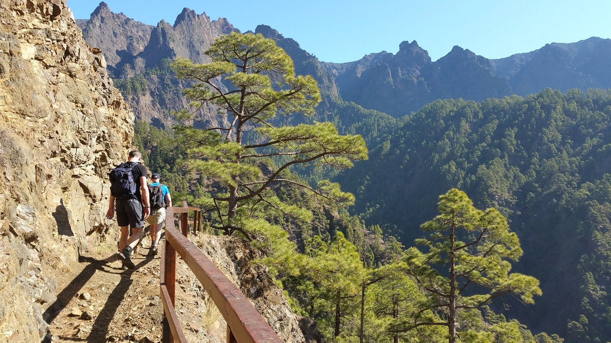 Flüge nach La Palma