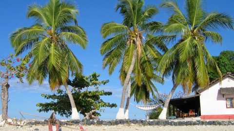 Flüge nach Madagaskar