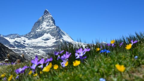 Flüge in die Schweiz