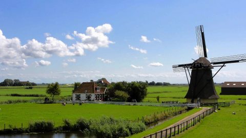 Flüge in die Niederlande