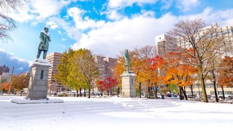 Flüge nach Sapporo