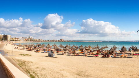 Flüge nach Palma de Mallorca