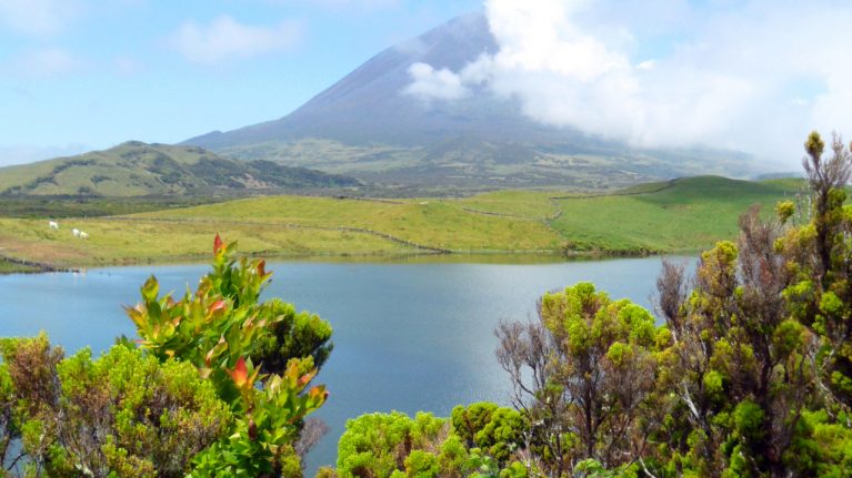 Portugal, Pico Island