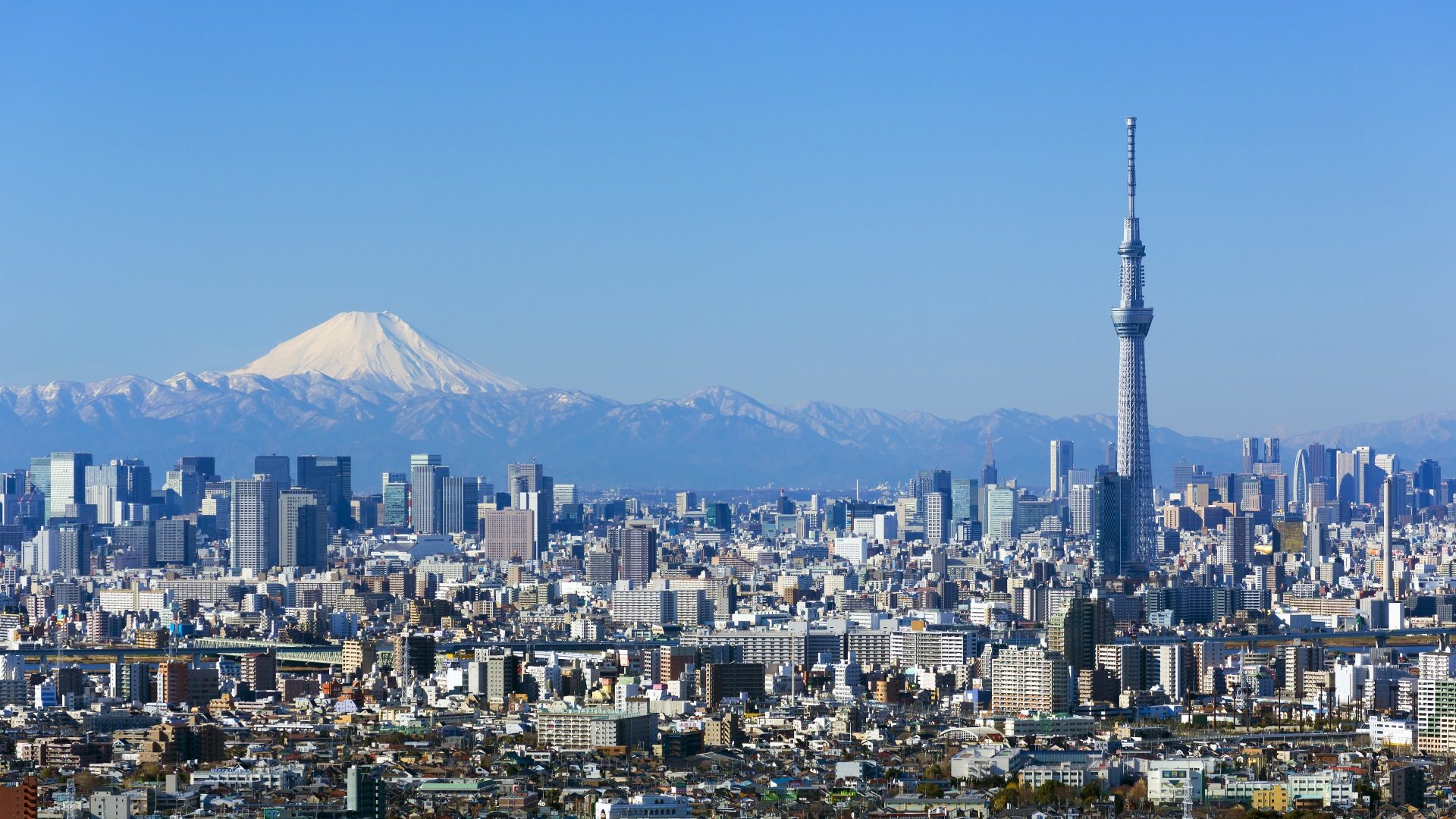 Frankfurt (FRA) – Tokio (HND)