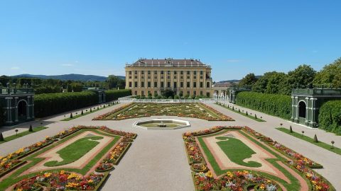 Flüge nach Wien