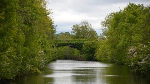 Flüge nach Shannon