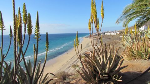 Flüge nach Fuerteventura