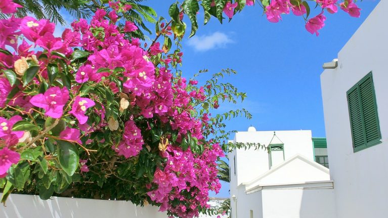 Spanien, Lanzarote