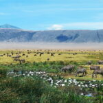 Kruger Nationalpark