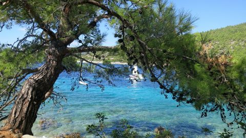 Flüge nach Bodrum