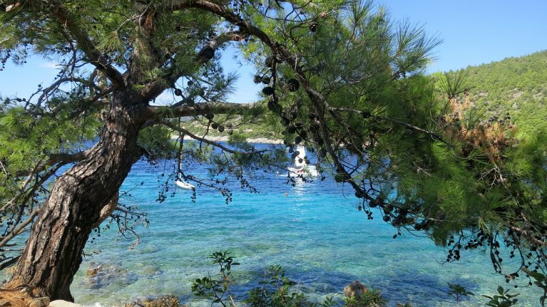 Flüge Bodrum, Türkei