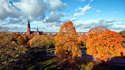 Flüge nach Uppsala