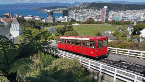 Flüge nach Wellington