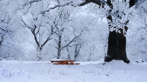 Flüge nach Uppsala